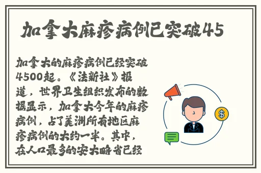 b站404原因